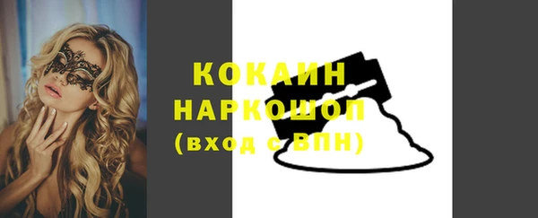 амф Ладушкин