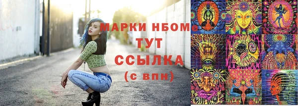 амф Ладушкин