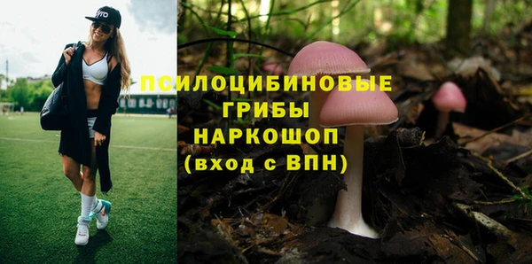 амф Ладушкин