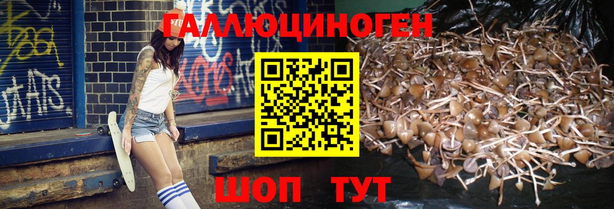 Галлюциногенные грибы MAGIC MUSHROOMS Нарьян-Мар